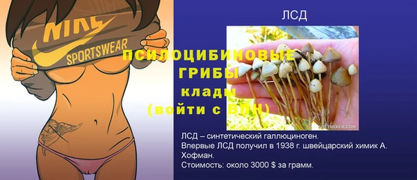 твердый Семёнов
