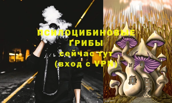 таблы Бородино