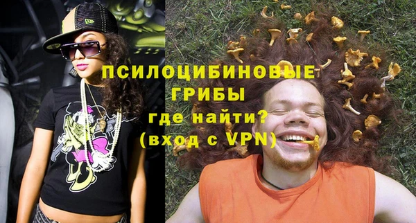 таблы Бородино