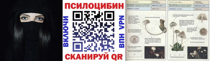 купить   Кондопога  Галлюциногенные грибы GOLDEN TEACHER 